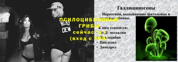 эйфоретик Абинск