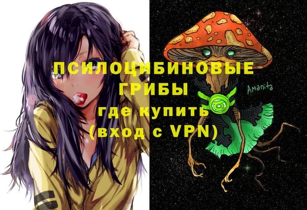 герыч Протвино